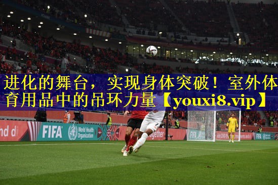 进化的舞台，实现身体突破！室外体育用品中的吊环力量