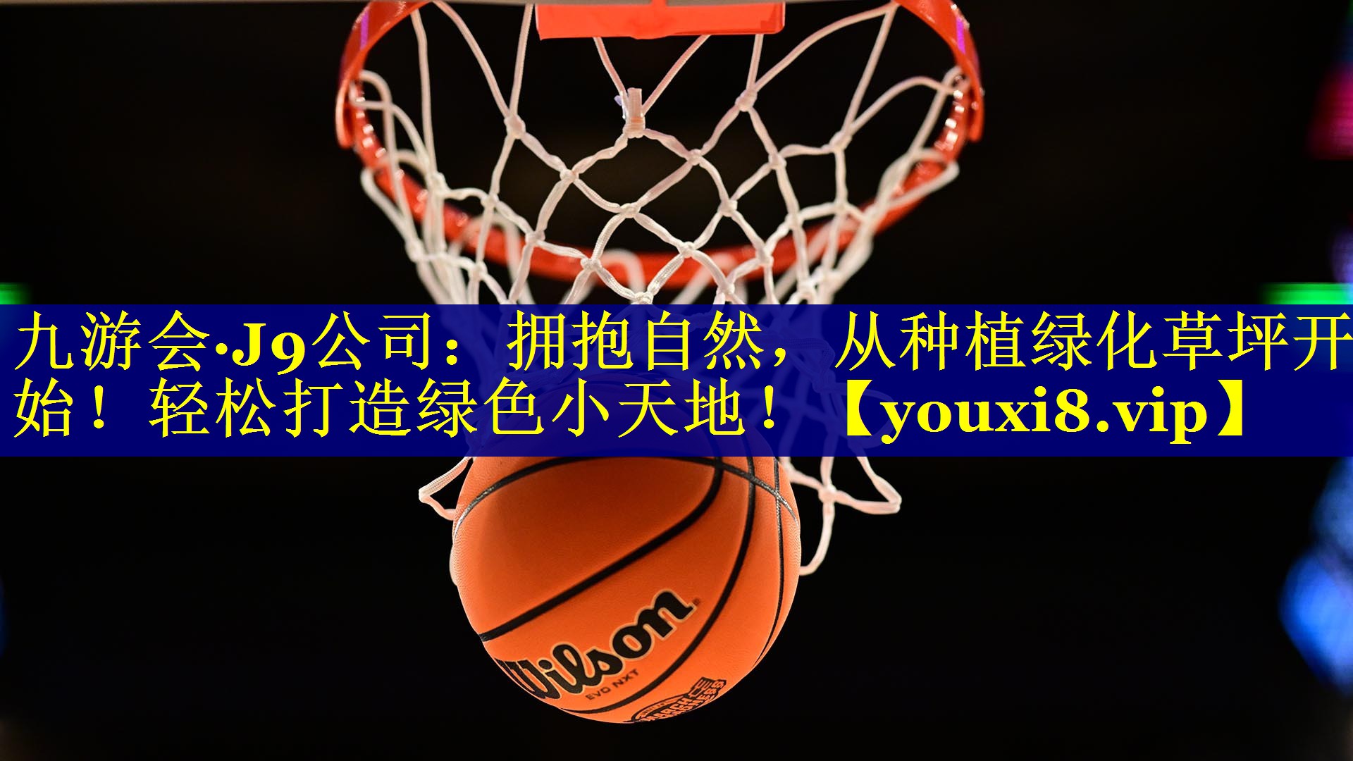 拥抱自然，从种植绿化草坪开始！轻松打造绿色小天地！