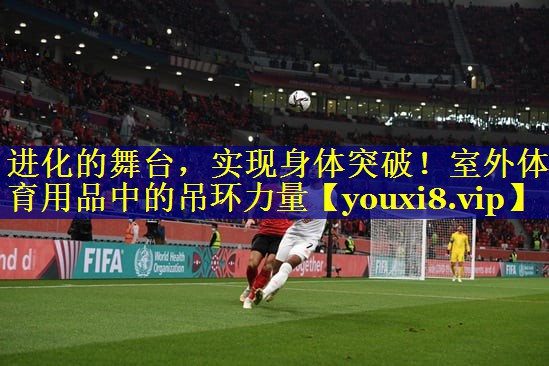 进化的舞台，实现身体突破！室外体育用品中的吊环力量