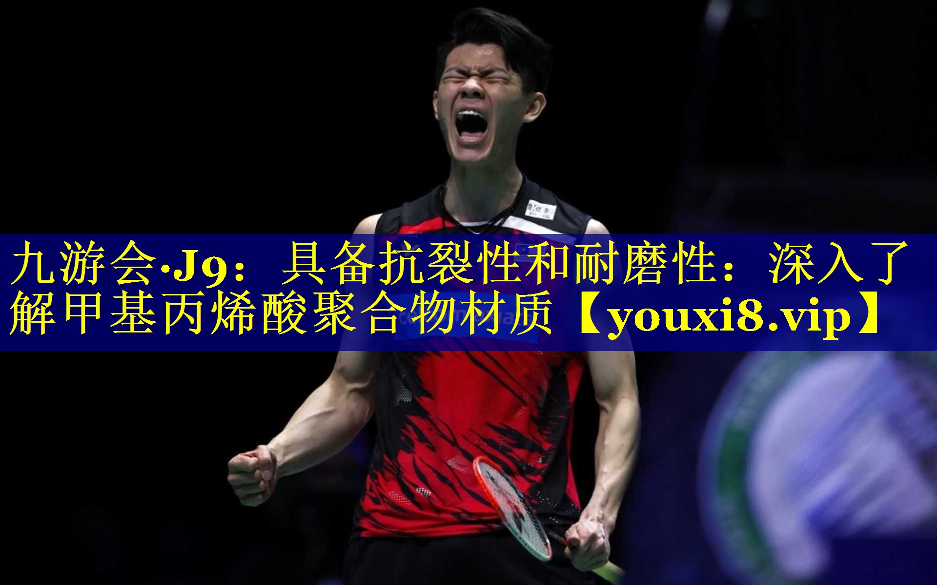 具备抗裂性和耐磨性：深入了解甲基丙烯酸聚合物材质